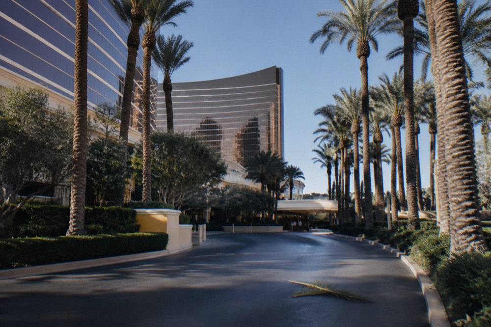 Palm trees along a Las Vegas resort driveway under a clear winter afternoon sky