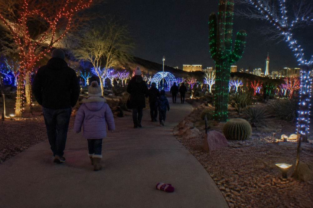 Families walking a paved path through an outdoor holiday light display at night