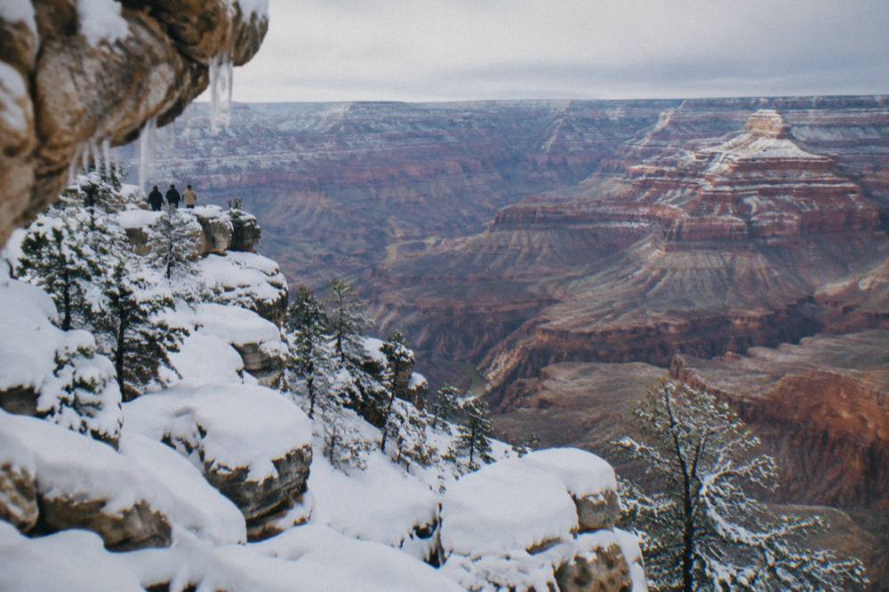 Snow-covered ledges and pine trees along the Grand Canyon South Rim in winter