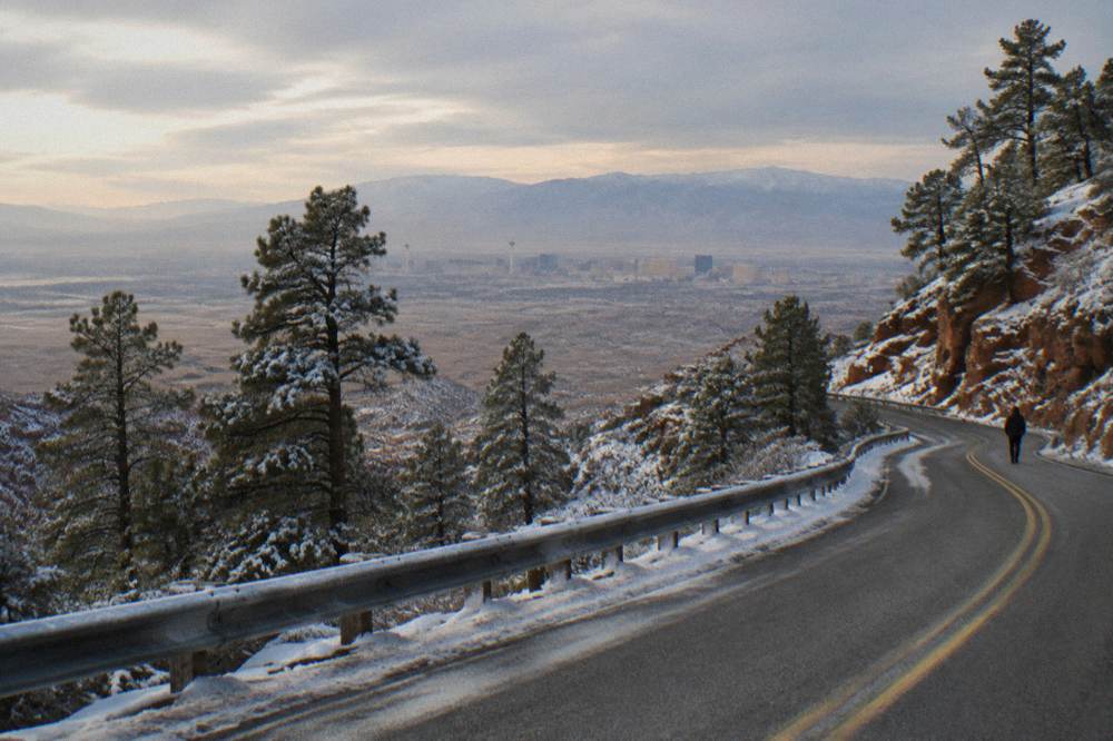 Snow-dusted pine trees on a mountain slope above a winding road