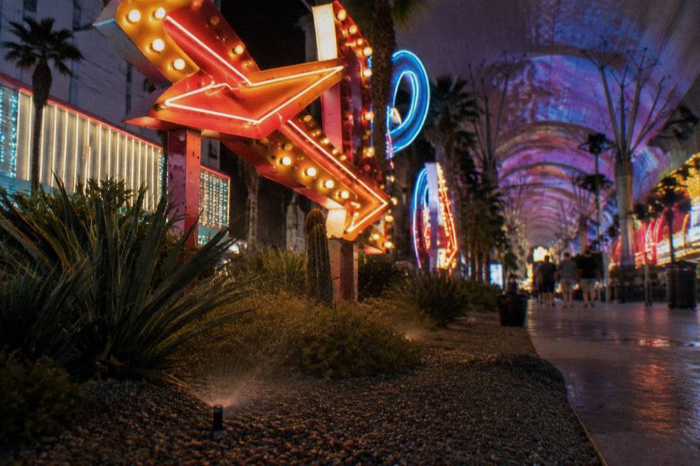 Restored vintage casino neon signs glowing in an outdoor museum courtyard at night
