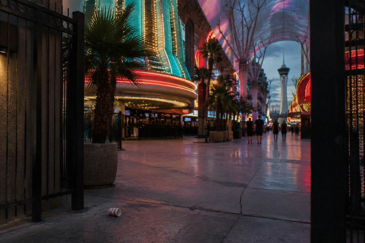 Glowing vintage neon signs arranged outdoors against a dark evening sky