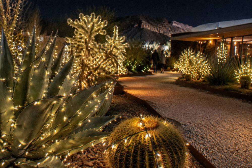 A walk-through maze of illuminated holiday displays glowing after dark