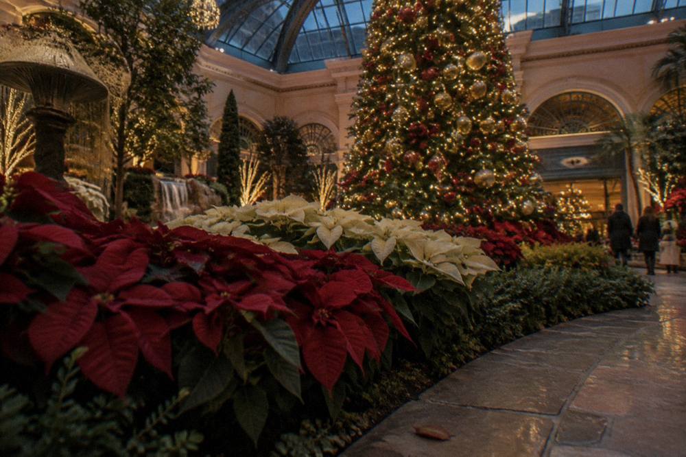 A tall decorated holiday tree surrounded by poinsettias and white flowers inside a garden atrium