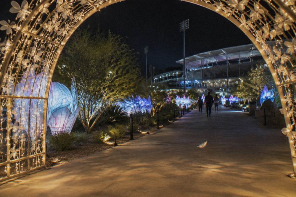 A light display arch over a walkway with visitors-free holiday scenery at night