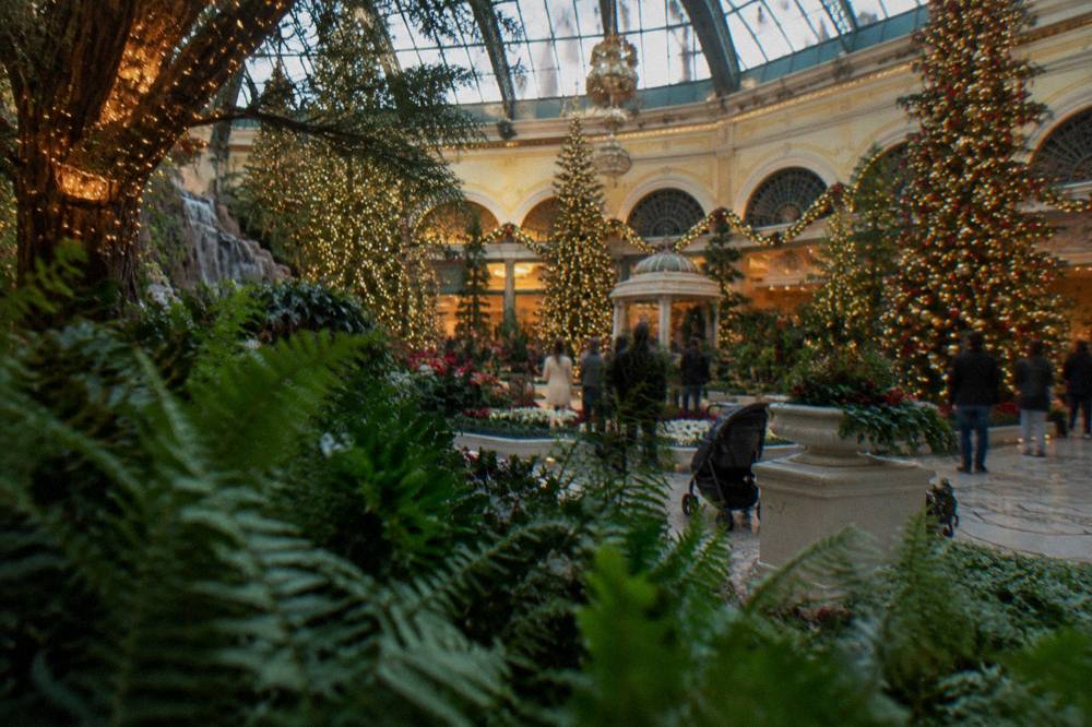 Ornate holiday display with decorated trees and glowing lights inside a resort conservatory