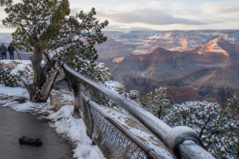 Snow dusting the edge of a canyon overlook with evergreen trees