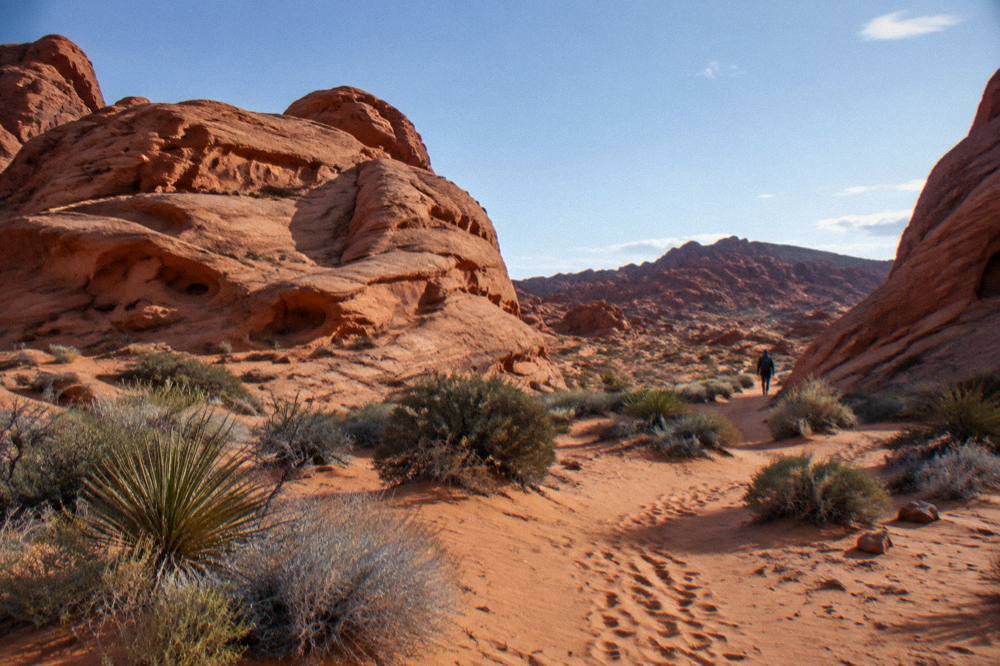 Red sandstone rock formations in Valley of Fire State Park under a clear sky