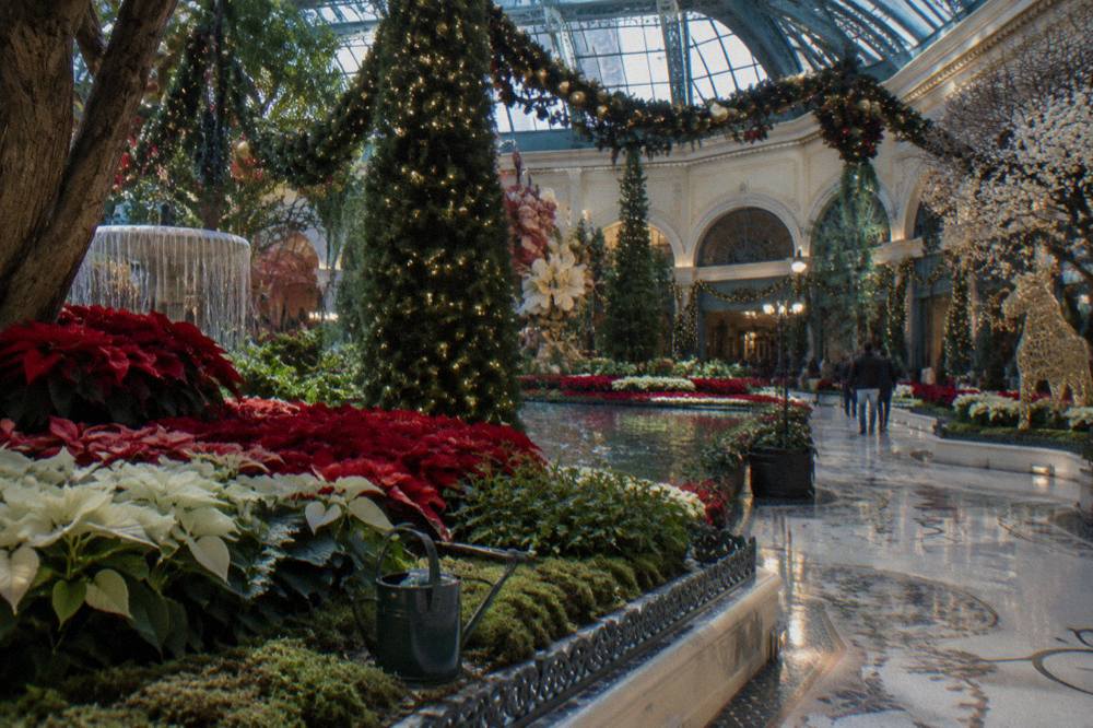 A resort casino interior decorated with holiday garlands and warm lighting
