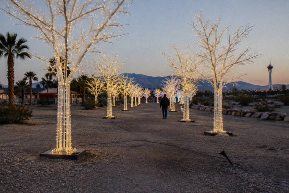 A Christmas light maze pathway glowing above a crowd-free field of illuminated displays