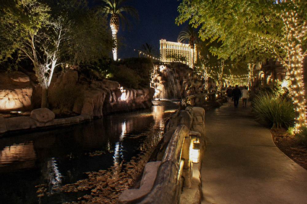 A forest of illuminated trees and string lights along a walking path at night