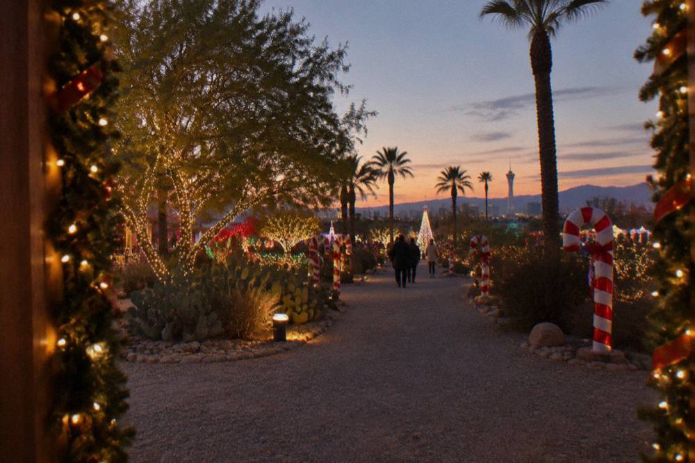 A pathway lined with illuminated holiday trees and decorated displays at a night light park