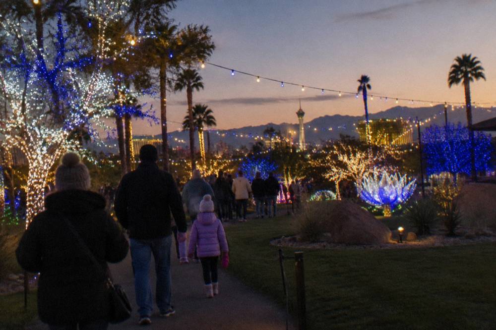 Families walking among glowing light displays and decorated trees at an evening holiday park