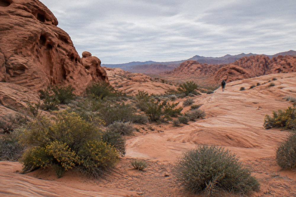 Smooth red and orange sandstone formations in a desert landscape with scattered brush
