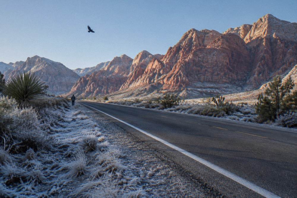 A quiet desert highway stretching toward distant red rock cliffs under a clear sky