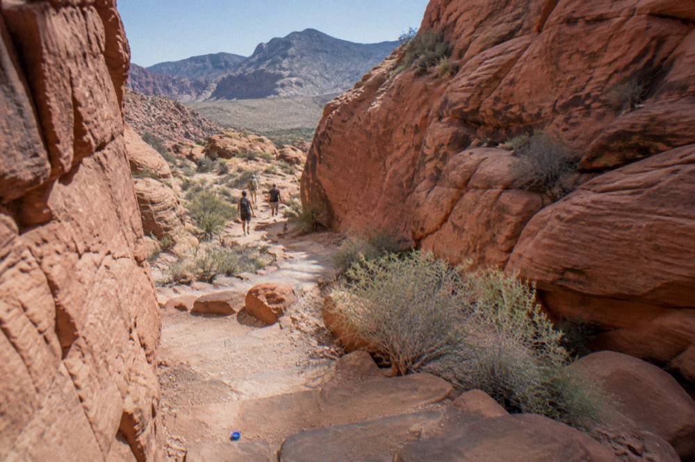 A desert trail winding between tall red rock walls with sparse vegetation