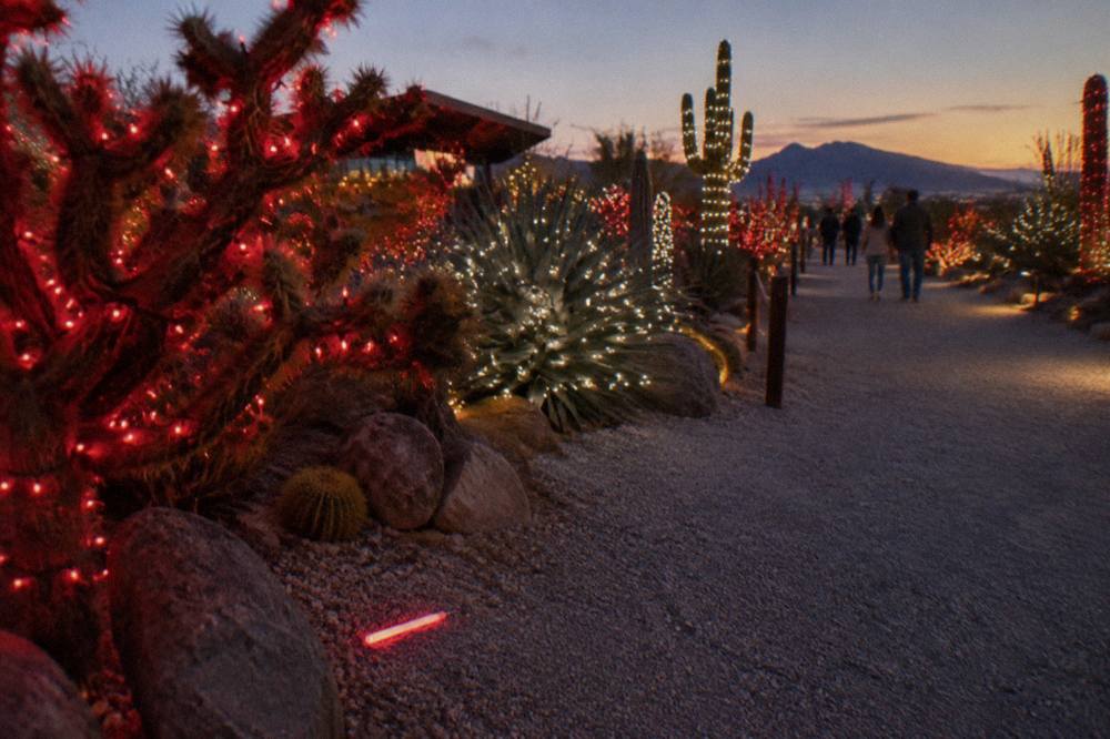 A long line of cars waiting to enter a drive-through holiday light display at dusk
